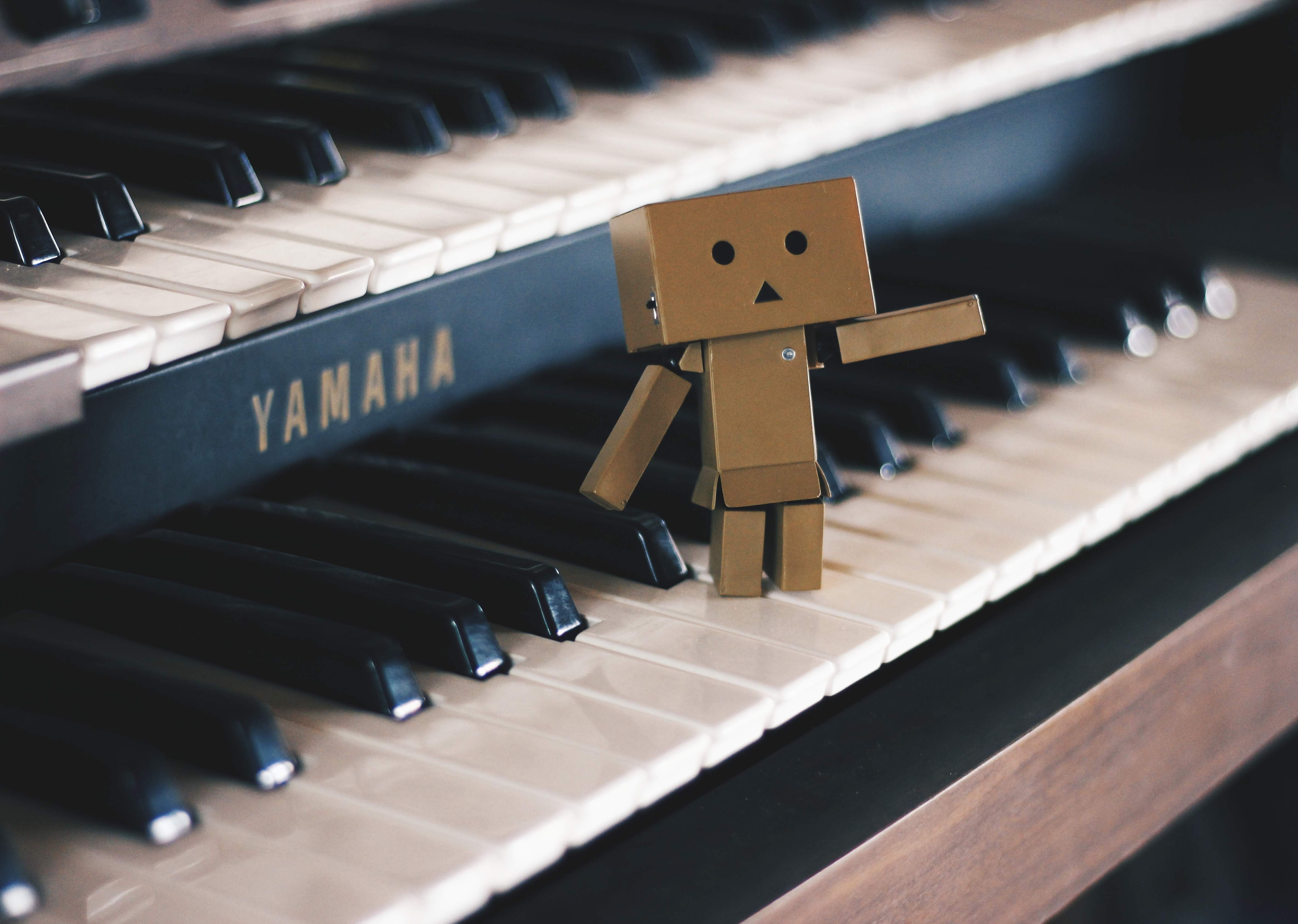 Danbo on a Yamaha Organ